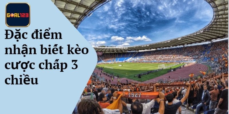 Giải thích đặc điểm và hướng dẫn chơi kèo chấp 3 chiều chuẩn nhất