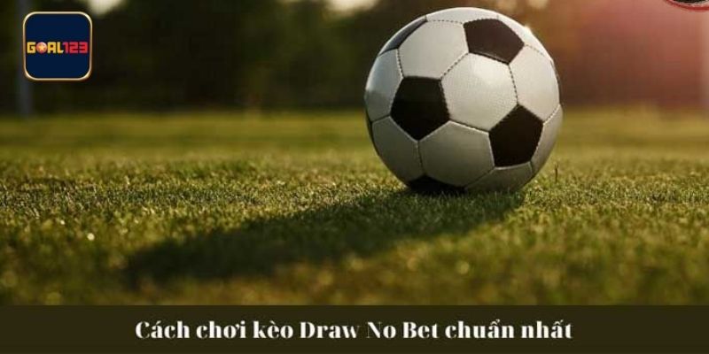 Gợi ý những kinh nghiệm cược DNB dành cho người chơi mới